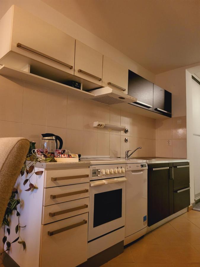 Dolly Apartment Airport Velika Gorica Luaran gambar